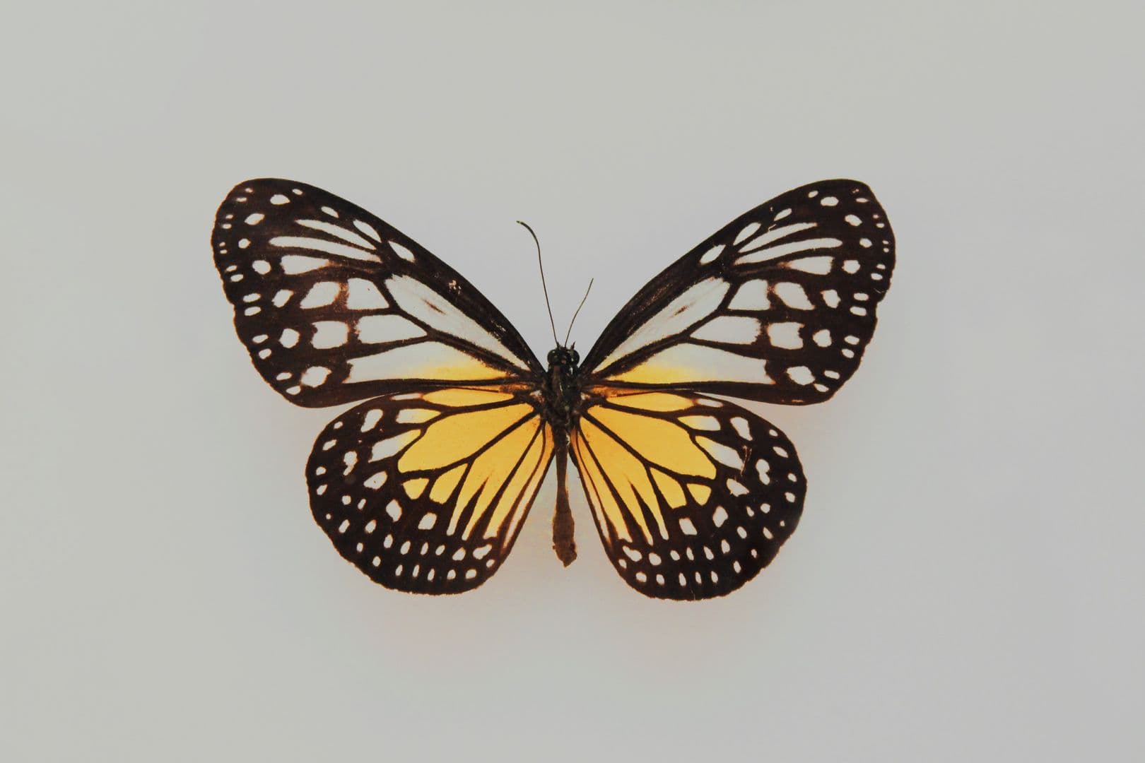 Blog article image