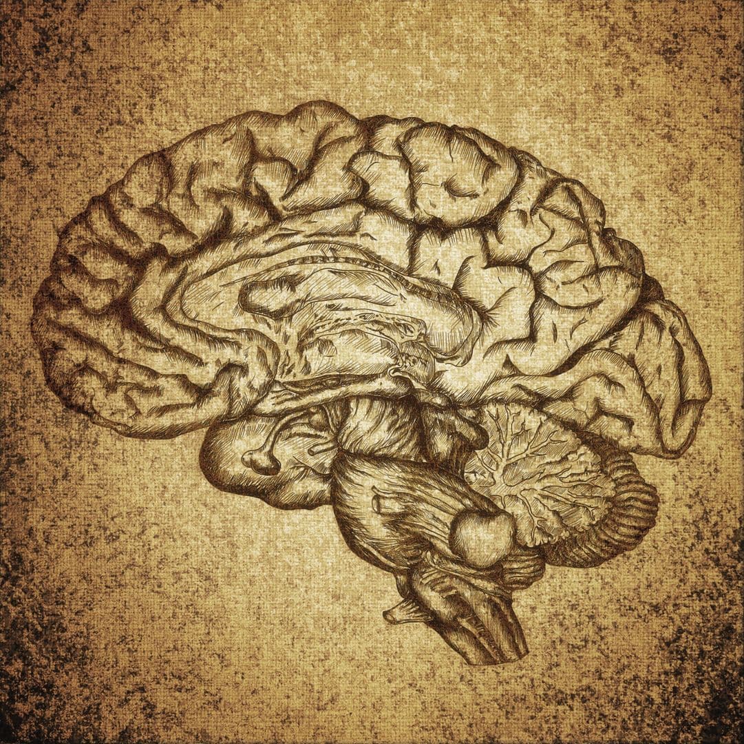EMDR: What is it?