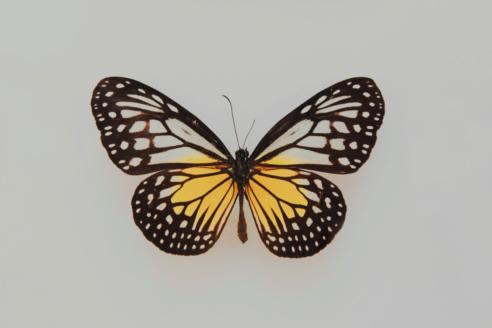 Blog article image